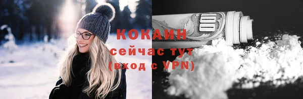 прущие грибы Каменка
