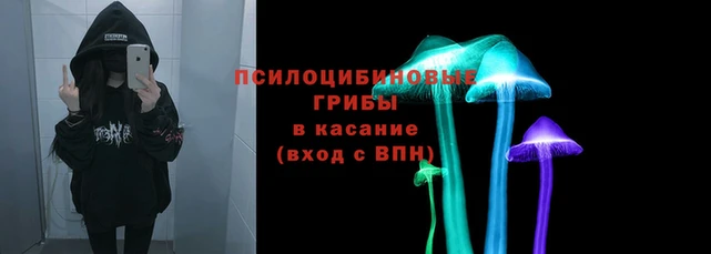 гашик Алзамай